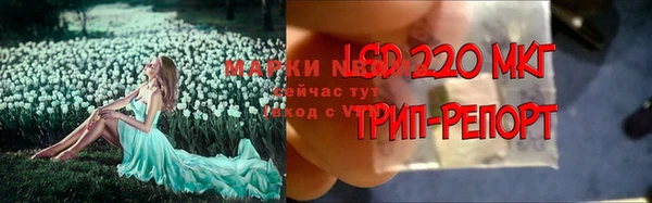 дурь Аркадак