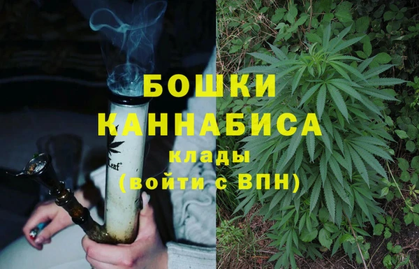 дурь Аркадак