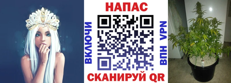 Каннабис марихуана Пучеж